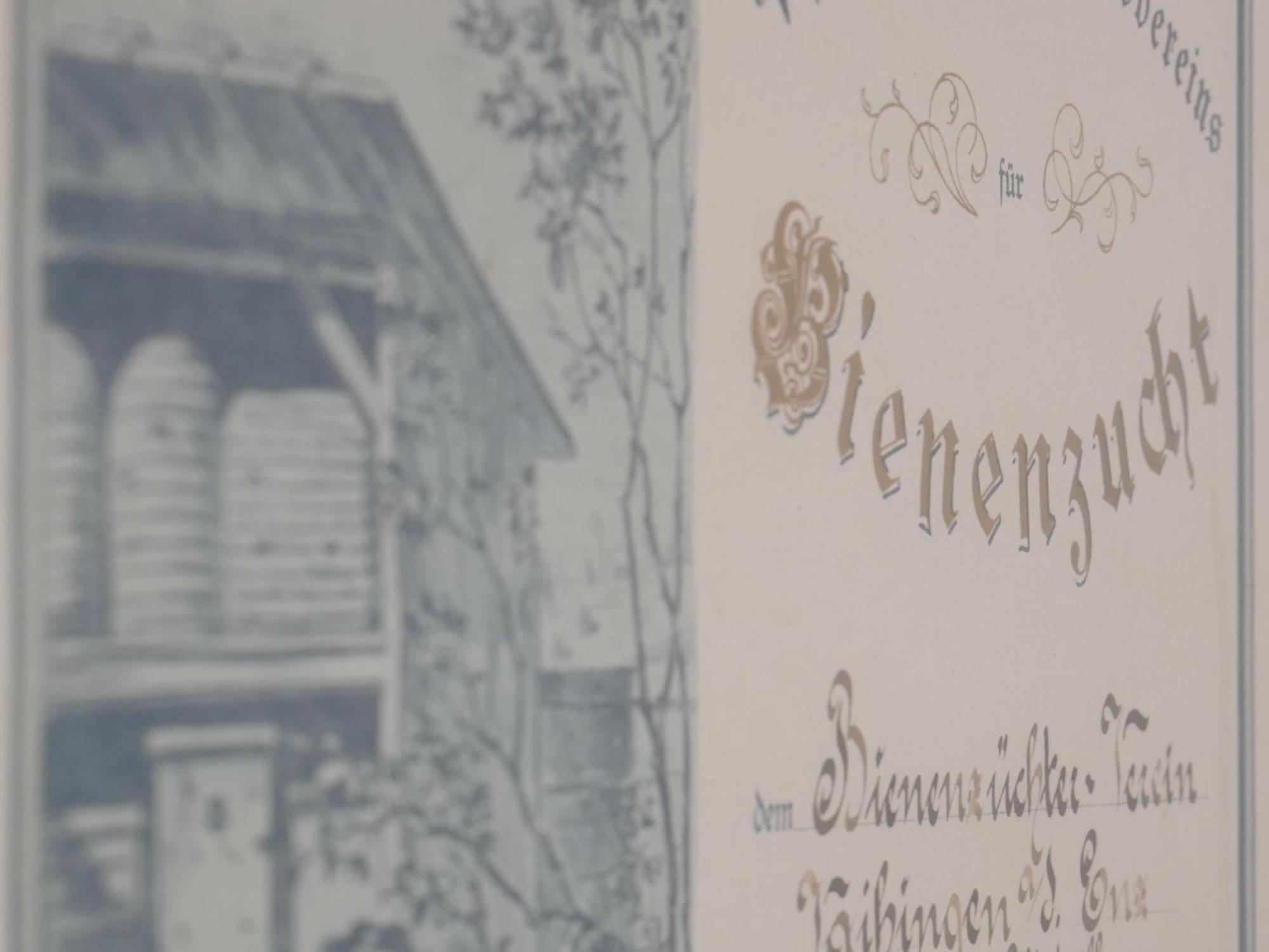 Ferienwohnungen Knodel Sachsenheim Exteriér fotografie