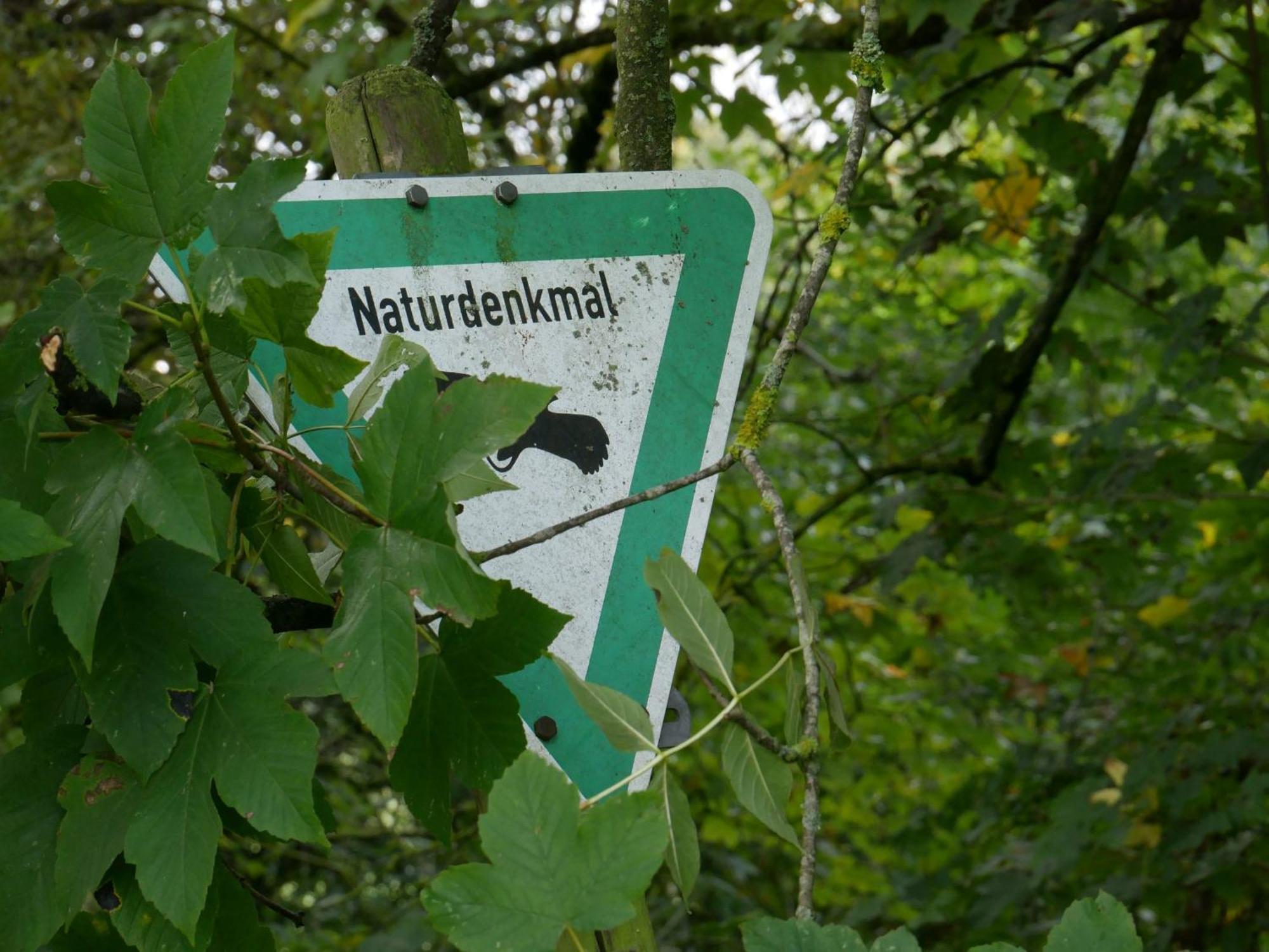 Ferienwohnungen Knodel Sachsenheim Exteriér fotografie